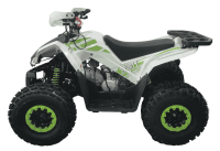 kvadroczikl-(atv)-seriya-4-sporty-(1)