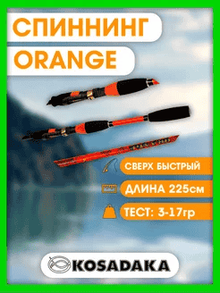 1 (38)