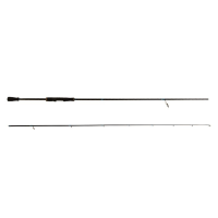 1rf663vnzc0gtx42vs2a4pkii2022521