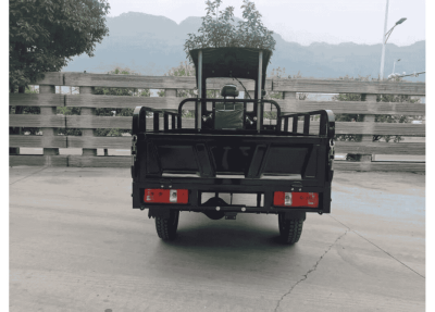 tricikl-gruzovoj-ayaks-agiax-5-s (3)