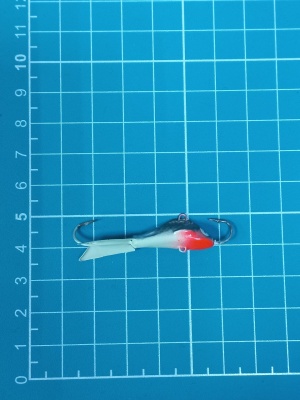 photo_7_2025-11-26_12-49-03