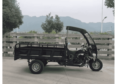 tricikl-gruzovoj-ayaks-agiax-5-s (2)