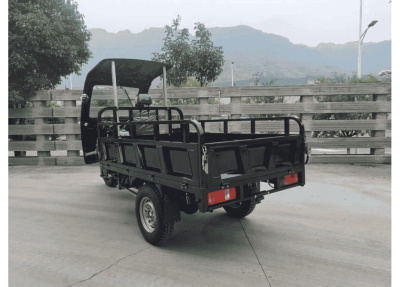 tricikl-gruzovoj-ayaks-agiax-5-s (4)