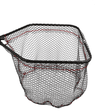 large_DSC_0052_compressed.png@pn