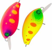 vobler_tsuyoki_agent_36f_4_4_g_0034w_b