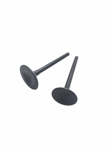 photo_5202077342992833616_y (1)