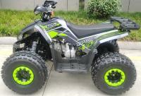 Raptor 125 green 2