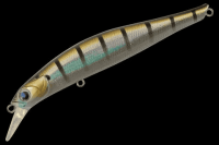 image - 2025-10-13T121723.637