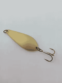 image - 2025-10-14T165412.981