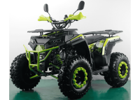 kvadrocikl-freelander-pro200-2