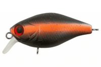 image - 2025-10-16T152918.660