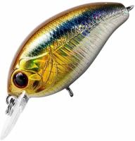 vobler_tsuyoki_agent_36f_4_4_g_200_b