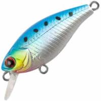 vobler_tsuyoki_chafer_40f_3_6g_e047_m