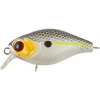 image - 2023-12-23T161832.615