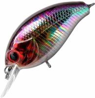 vobler_tsuyoki_agent_36f_4_4_g_273_b