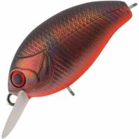 vobler_tsuyoki_agent_36f_4_4_g_288r_b