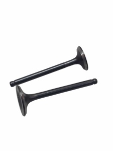 photo_5199884208137437559_y