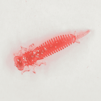 1de7fddb-6eef-11ed-80bc-1eb62754781f_ac0ec22d-7b98-11ed-80bf-1eb62754781f.resize1