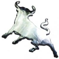 Основное изображение (Наклейка (10х10) Bull (пластик, скотч)). Размеры картинки (292х292)