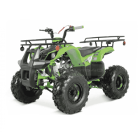 vmc-atv-120cc-revers-zashhita-629