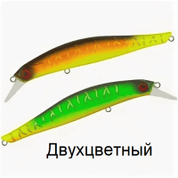 image - 2025-10-13T121148.976