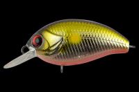 g55p1at6u8y9uddwuynfztsd2d3n6nmq