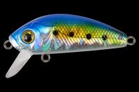 15790e1bdd9c9d255b16510124f53010