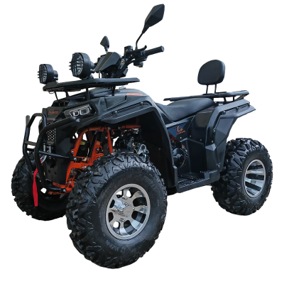 3 (33)