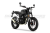 RM000443703.1 RM000443703.1