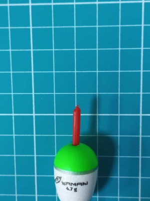 photo_3_2025-11-02_11-22-21