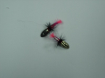 DSCN5155
