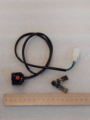 photo_5190474261209414020_y (1)