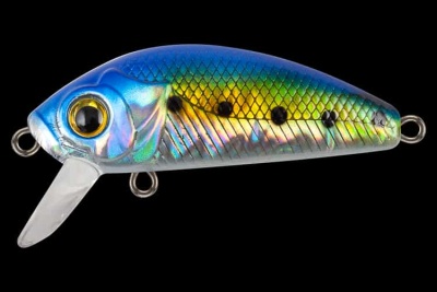 15790e1bdd9c9d255b16510124f53010