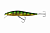 image - 2026-09-28T143343.506