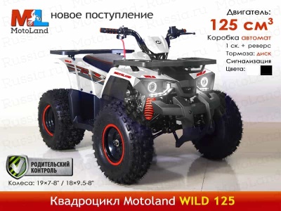 Без названия (1)
