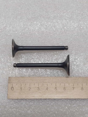 photo_5199884208137437546_y