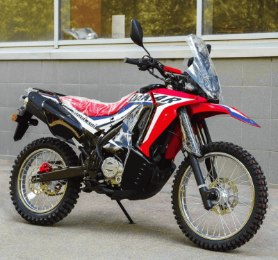 Motoland_DAKAR_LT-(1)68