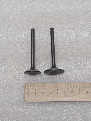 photo_5199884208137437469_y