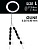 3f9cdea0_b480_11dc_bb8e_000423b802be_316078a0_f443_11dd_a6ab_000423afa918