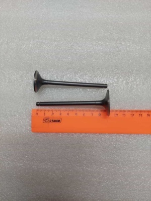 photo_5202077342992833595_y