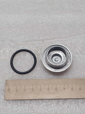 photo_5197551177607281882_y