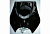 image - 2024-02-01T152636.630