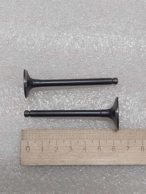 photo_5199884208137437556_y