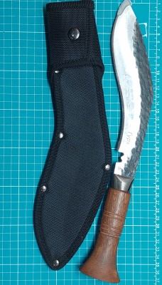 2026-02-01 16-50-26_1769953846