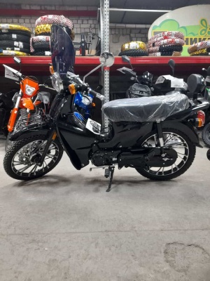 photo_2024-12-13_11-34-32