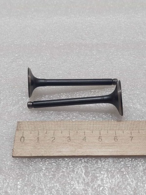 photo_5199884208137437545_y