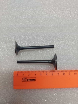 photo_5202077342992833617_y (1)