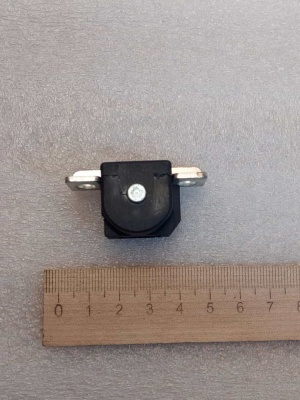 photo_5188624878356528575_y