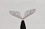 immitatsiya_hemingway_s_may_fly_wings_gray_m_for_10_12_hook