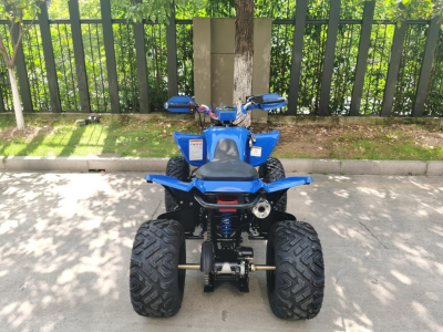 kvadrocikl-atv-sporty-250-250-16 (1)